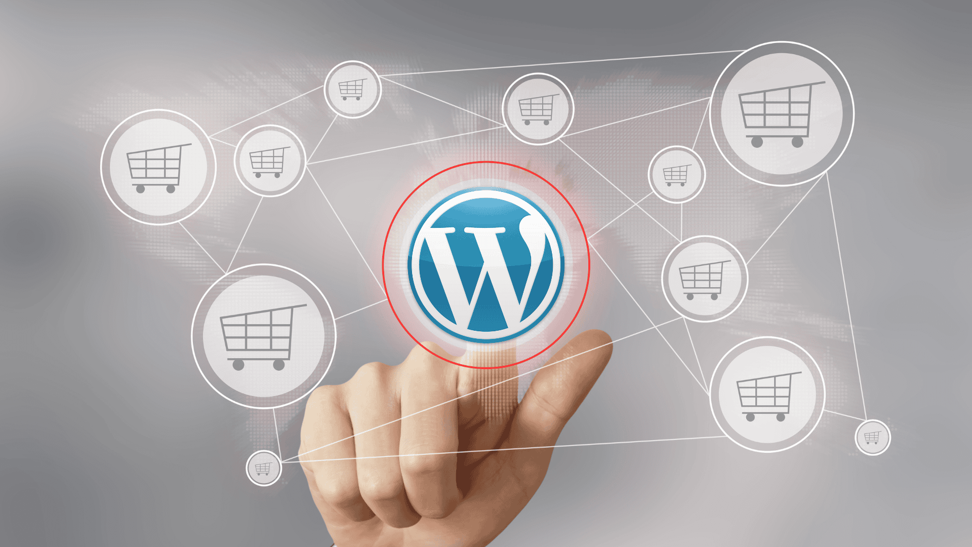 Maitland WordPress - Harnessing the Power of WooCommerce - Bottrell Media